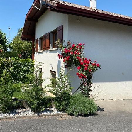Chez Patrick Et Dominique Lägenhet Saint-Pierre-en-Faucigny Exteriör bild